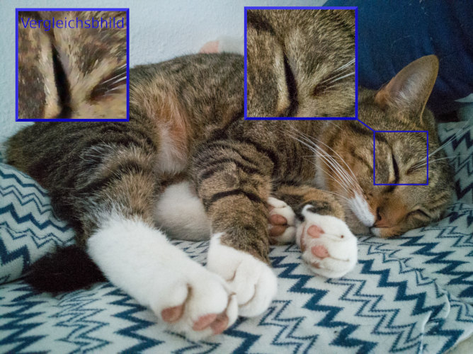 Tuffi detailiert aus Lightroom CC gespeichert